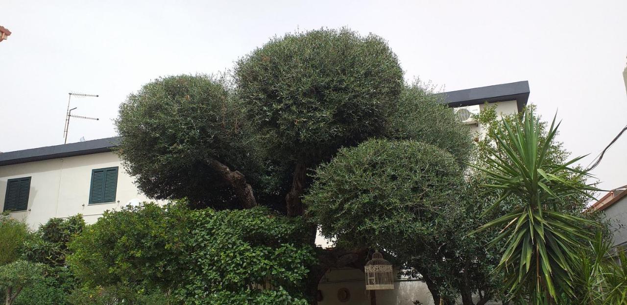 Il Vecchio Ginepro Bed & Breakfast Capoterra Bagian luar foto