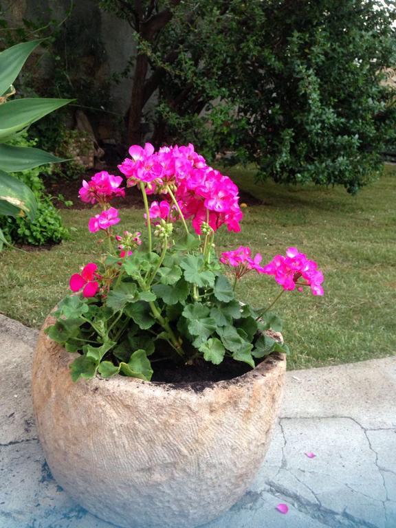 Il Vecchio Ginepro Bed & Breakfast Capoterra Bagian luar foto